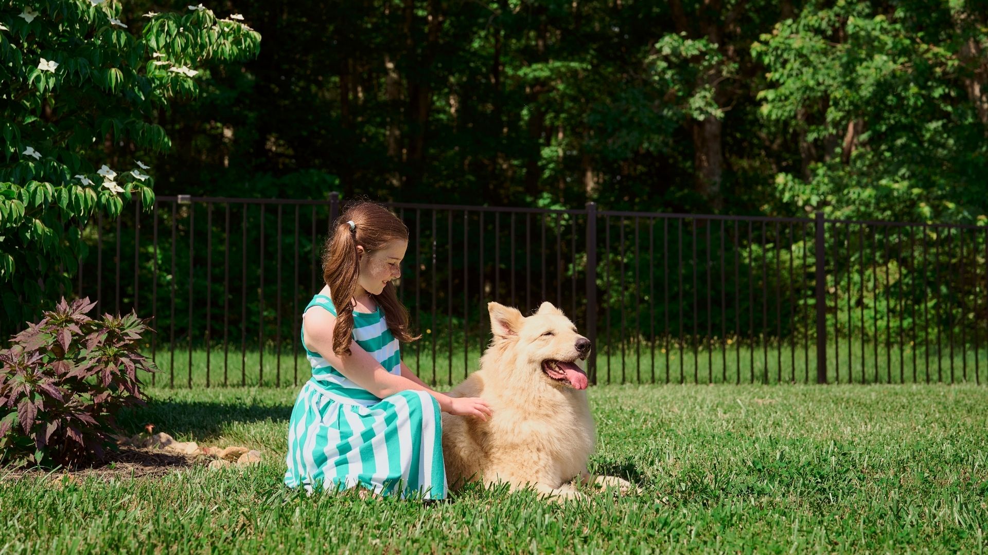 hidden fences Cincinnati